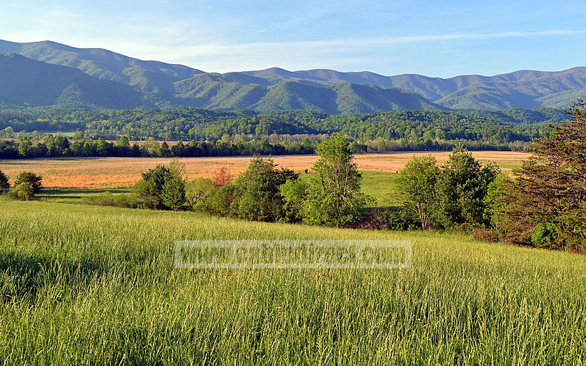 Cades Cove, Tennessee